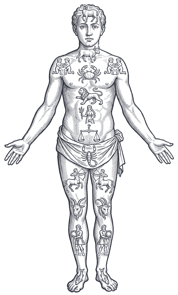 The melothesic man: a body with the twelve sign emblems drawn over the regions each one governs, from the ram at the forehead to the fishes at the feet
